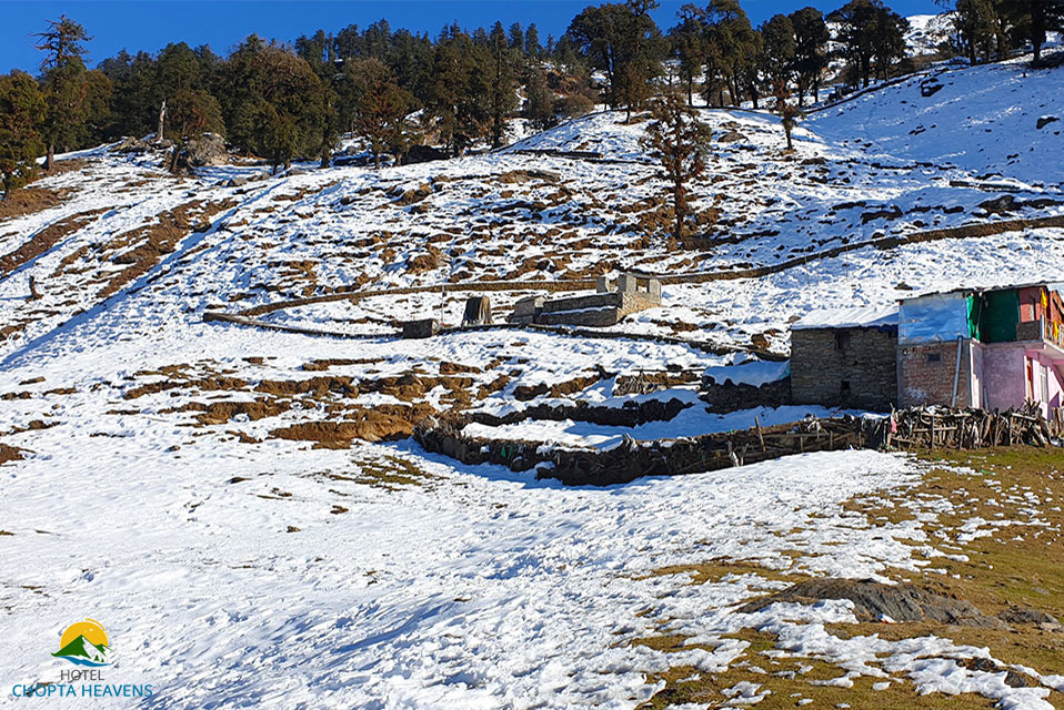 Hotel Chopta Heavens